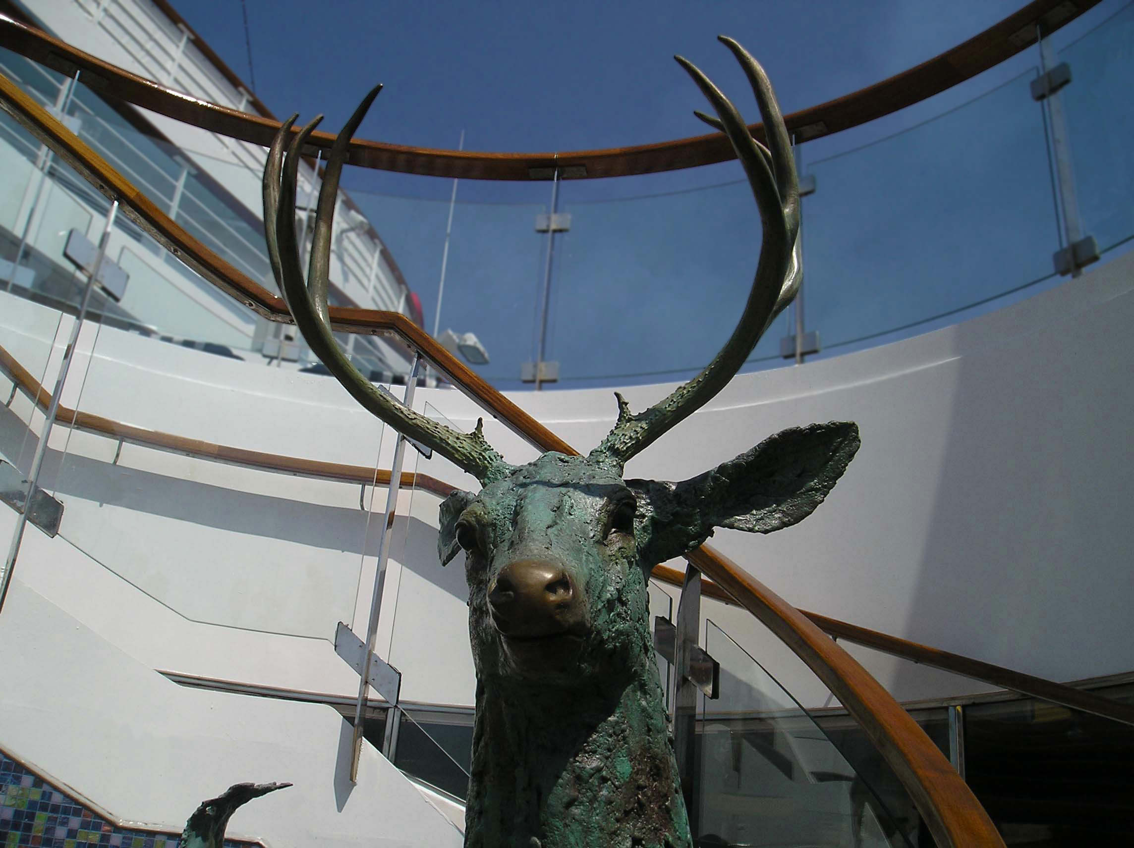stag sky behind